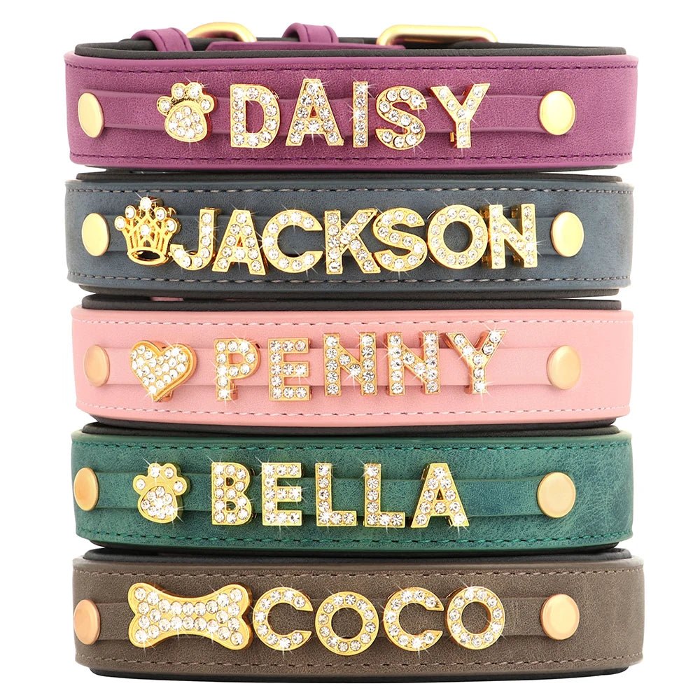 Personalized Leather Dog Collar Name Tag - Petnivo