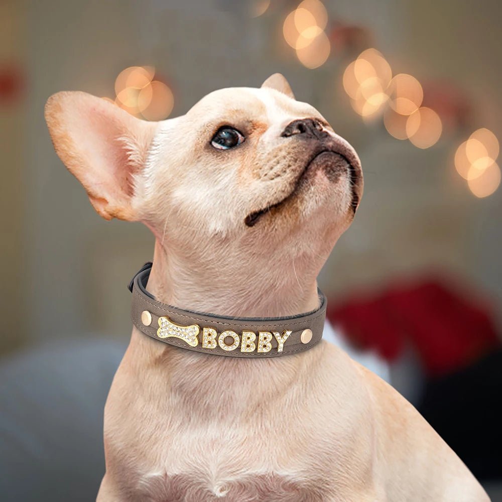 Personalized Leather Dog Collar Name Tag - Petnivo
