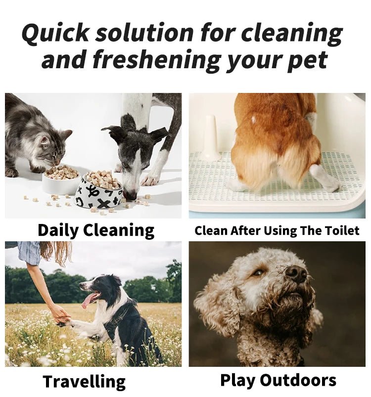 Pet Cleaning Wipes Disposable Deodorizing 80pcs - Petnivo