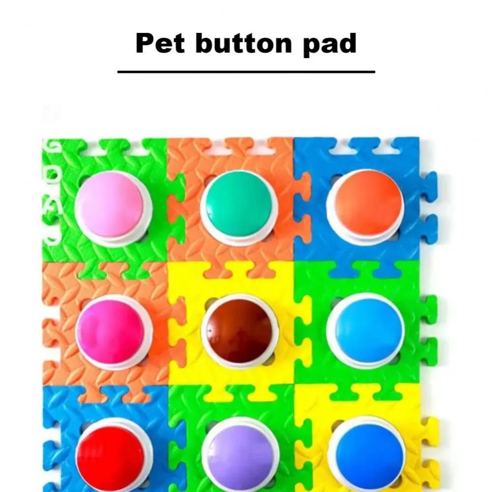 Pet Communication Recording Buttons - Petnivo