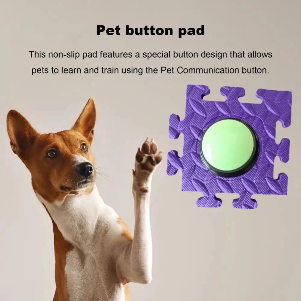 Pet Communication Recording Buttons - Petnivo