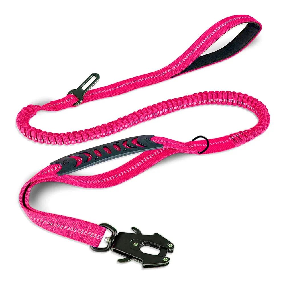 Reflective Bungee Dog Leash Shock Absorbing - Petnivo