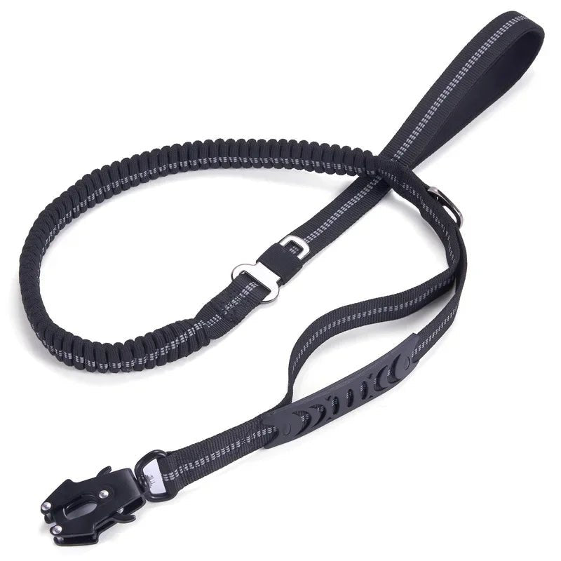 Reflective Bungee Dog Leash Shock Absorbing - Petnivo