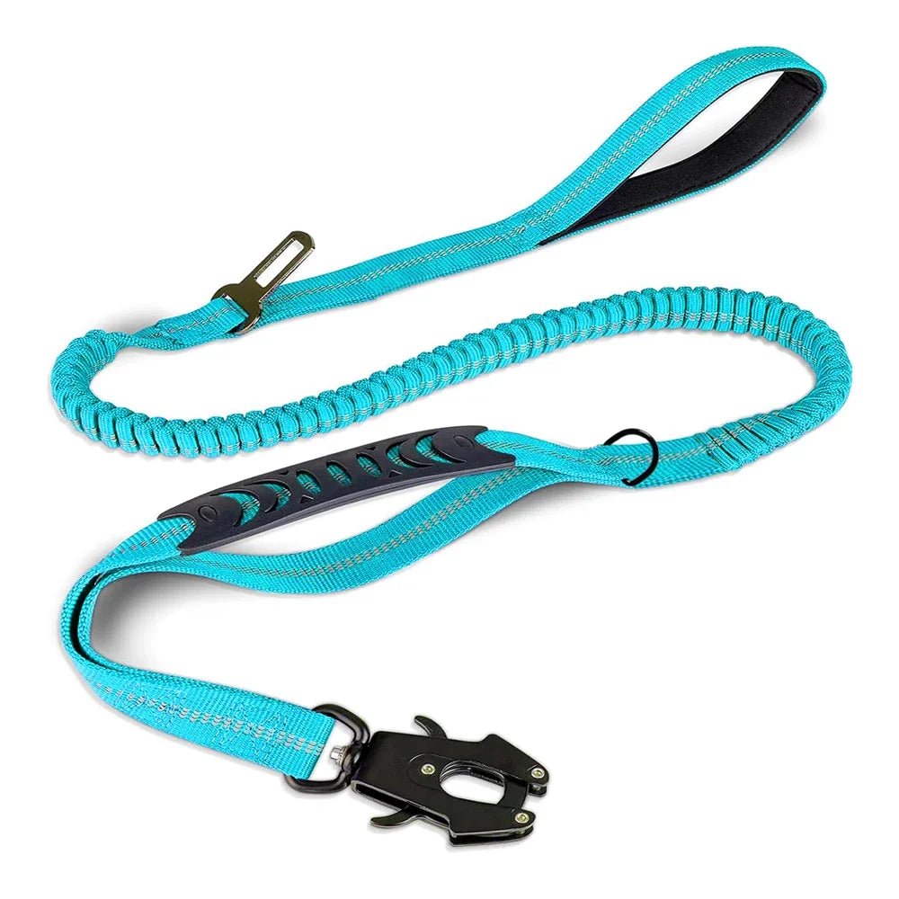 Reflective Bungee Dog Leash Shock Absorbing - Petnivo