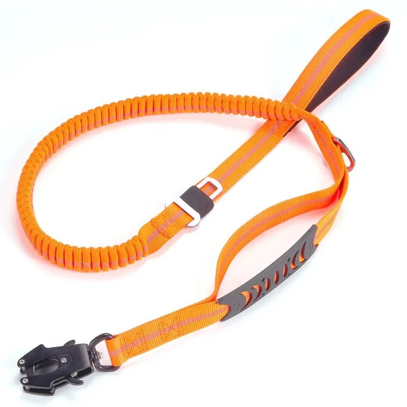 Reflective Bungee Dog Leash Shock Absorbing - Petnivo