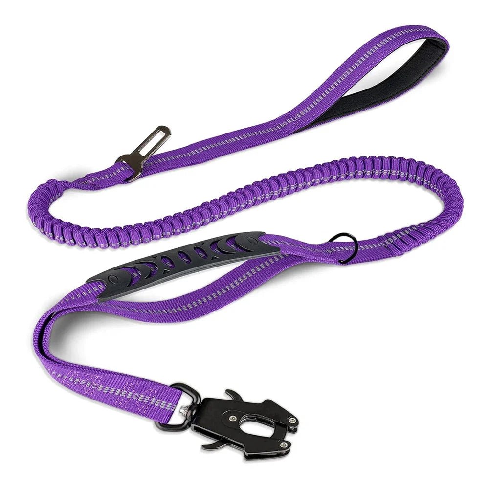 Reflective Bungee Dog Leash Shock Absorbing - Petnivo