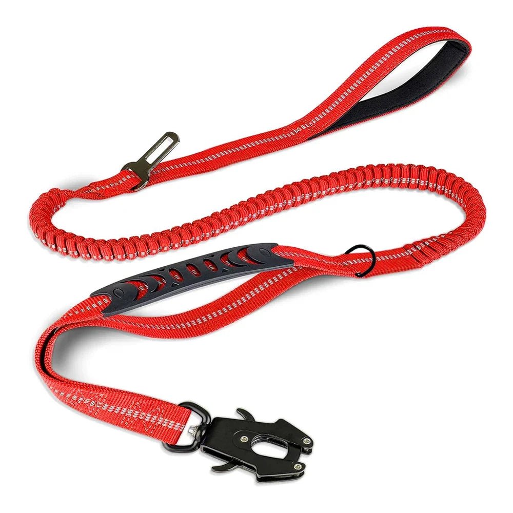Reflective Bungee Dog Leash Shock Absorbing - Petnivo