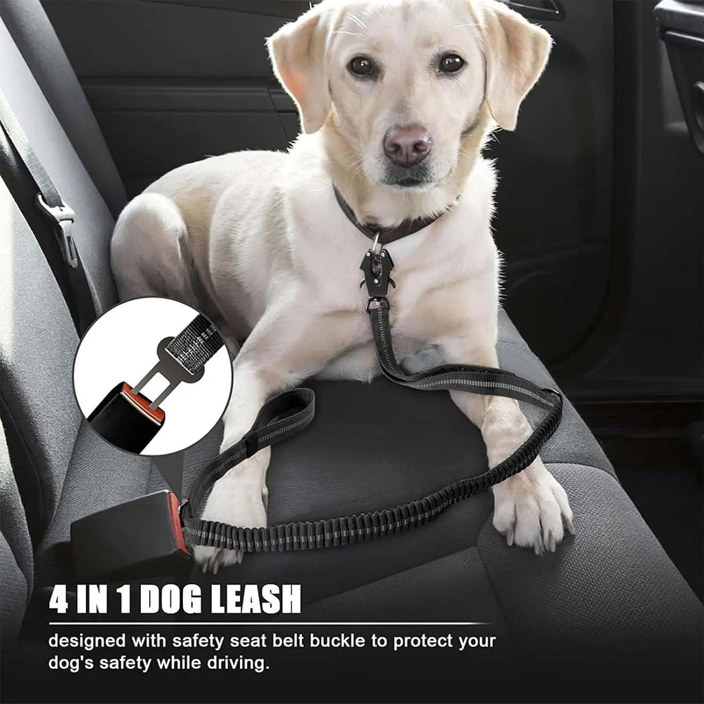 Reflective Bungee Dog Leash Shock Absorbing - Petnivo