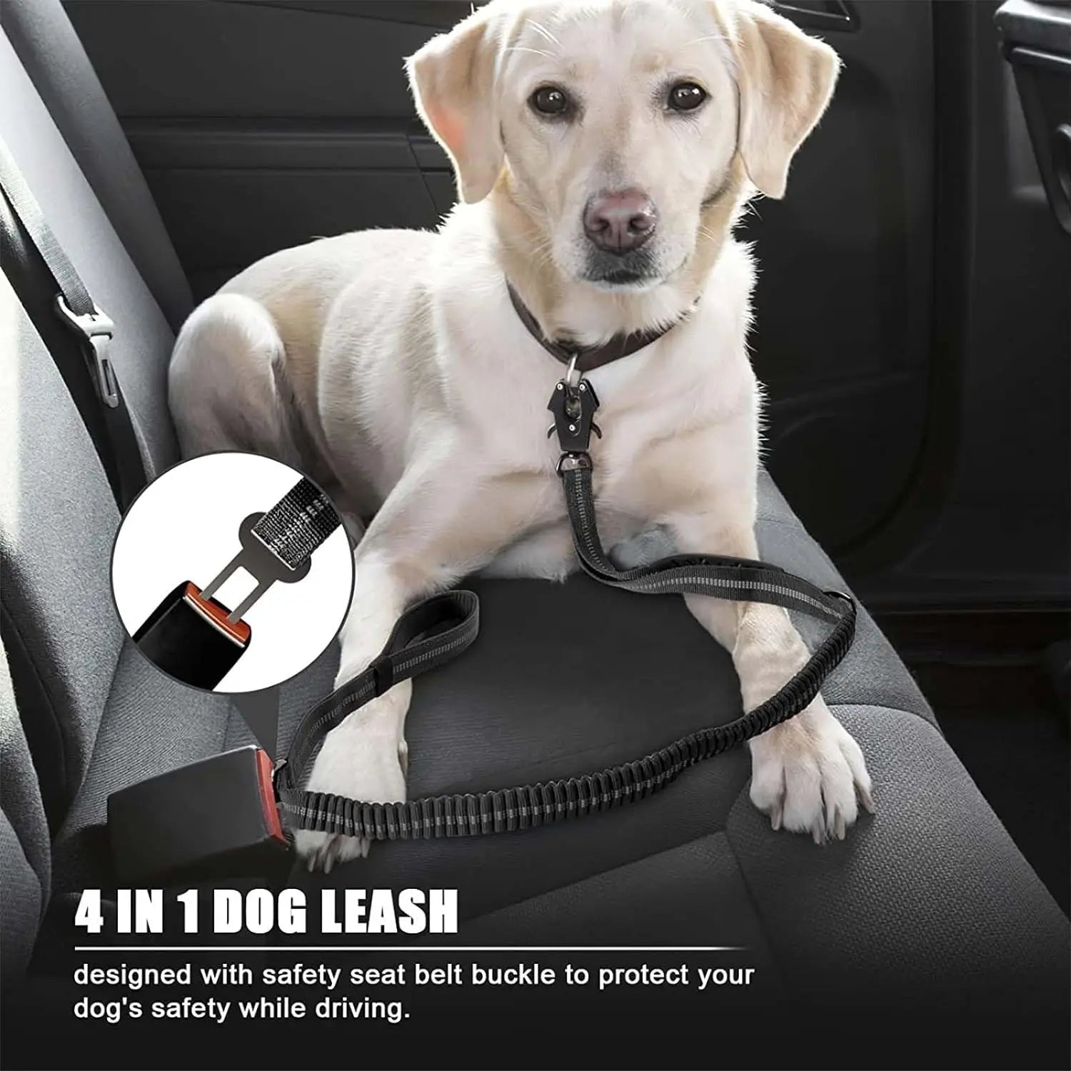 Reflective Bungee Dog Leash Shock Absorbing - Petnivo