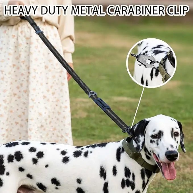 Reflective Bungee Dog Leash Shock Absorbing - Petnivo