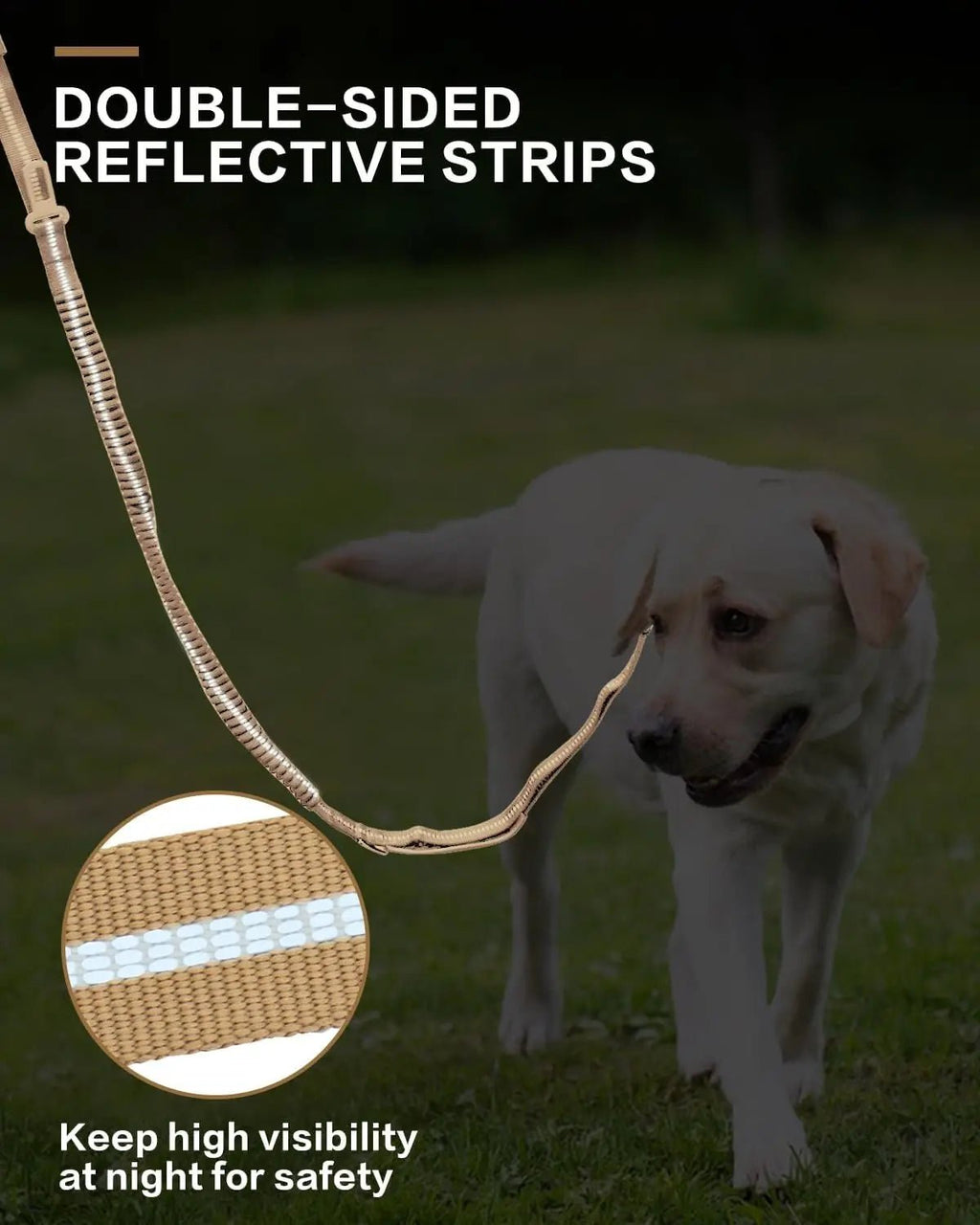 Reflective Bungee Dog Leash Shock Absorbing - Petnivo
