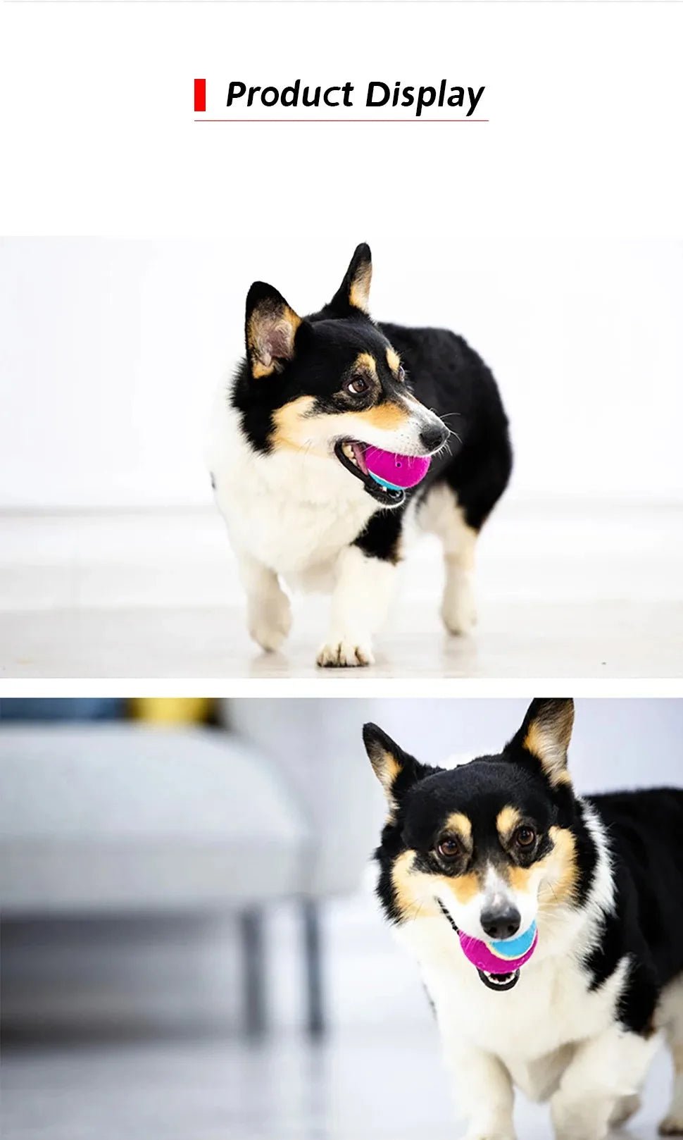 Squeaky Dog Tennis Balls Bite Resistant Set - Petnivo