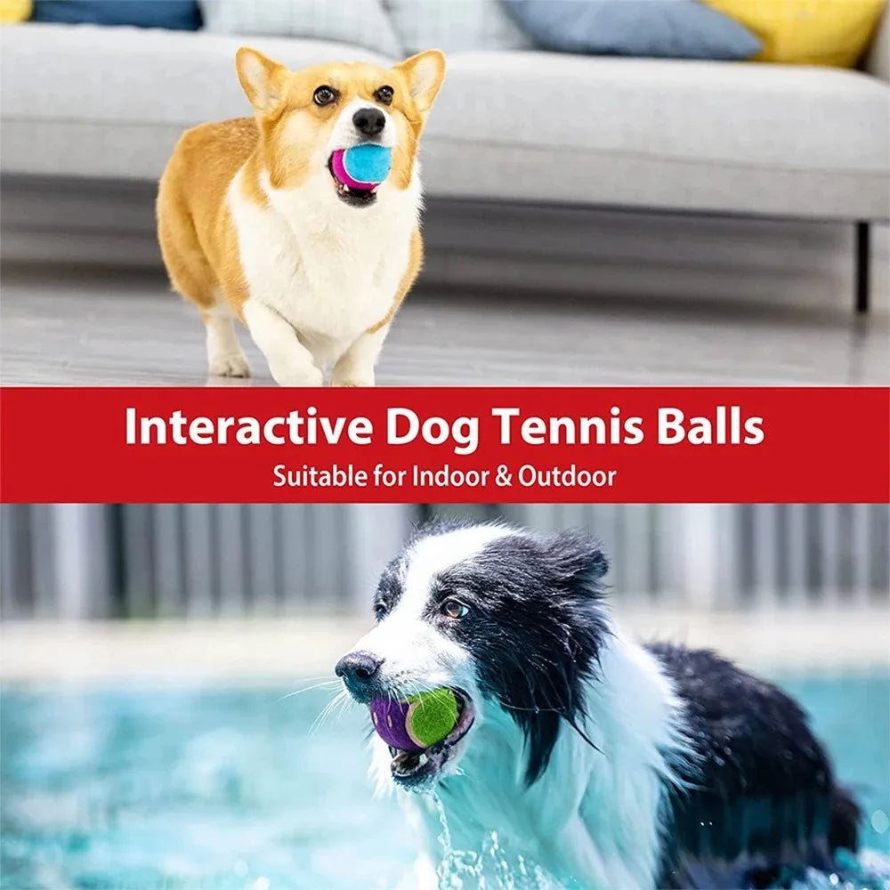 Squeaky Dog Tennis Balls Bite Resistant Set - Petnivo
