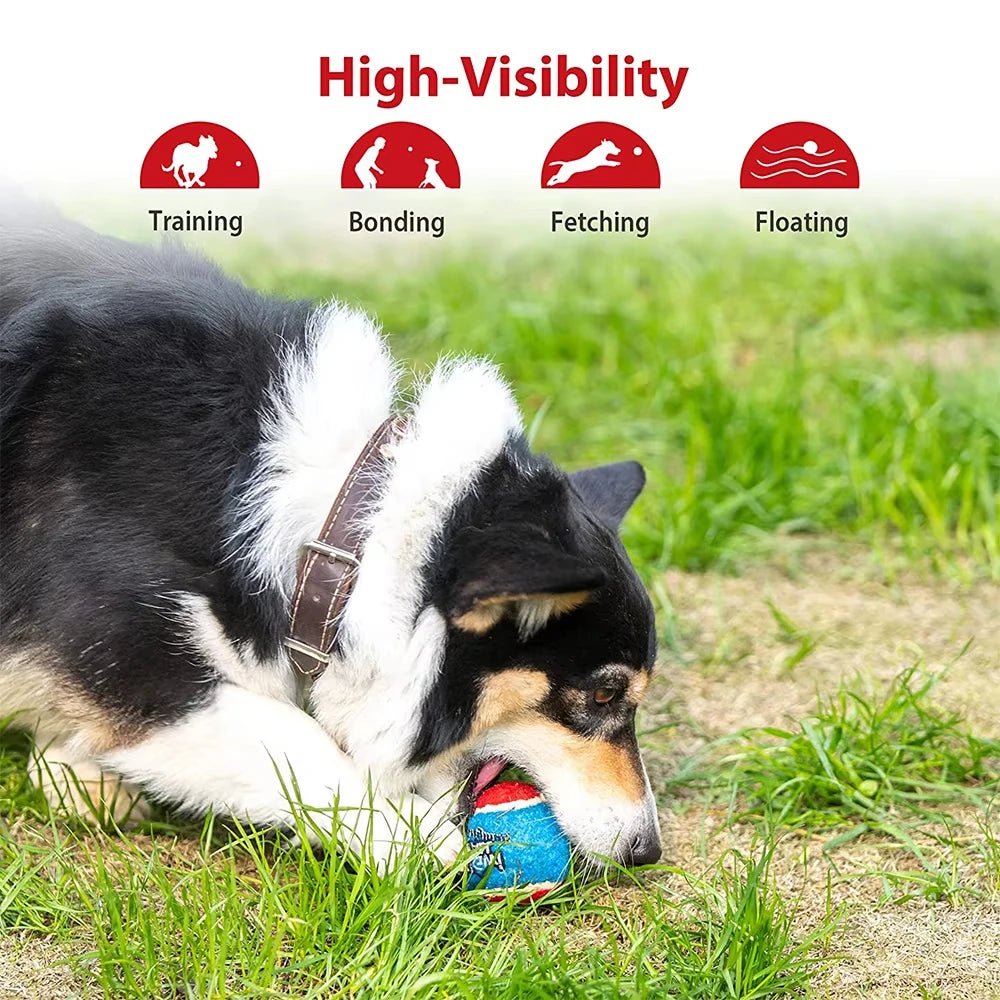 Squeaky Dog Tennis Balls Bite Resistant Set - Petnivo