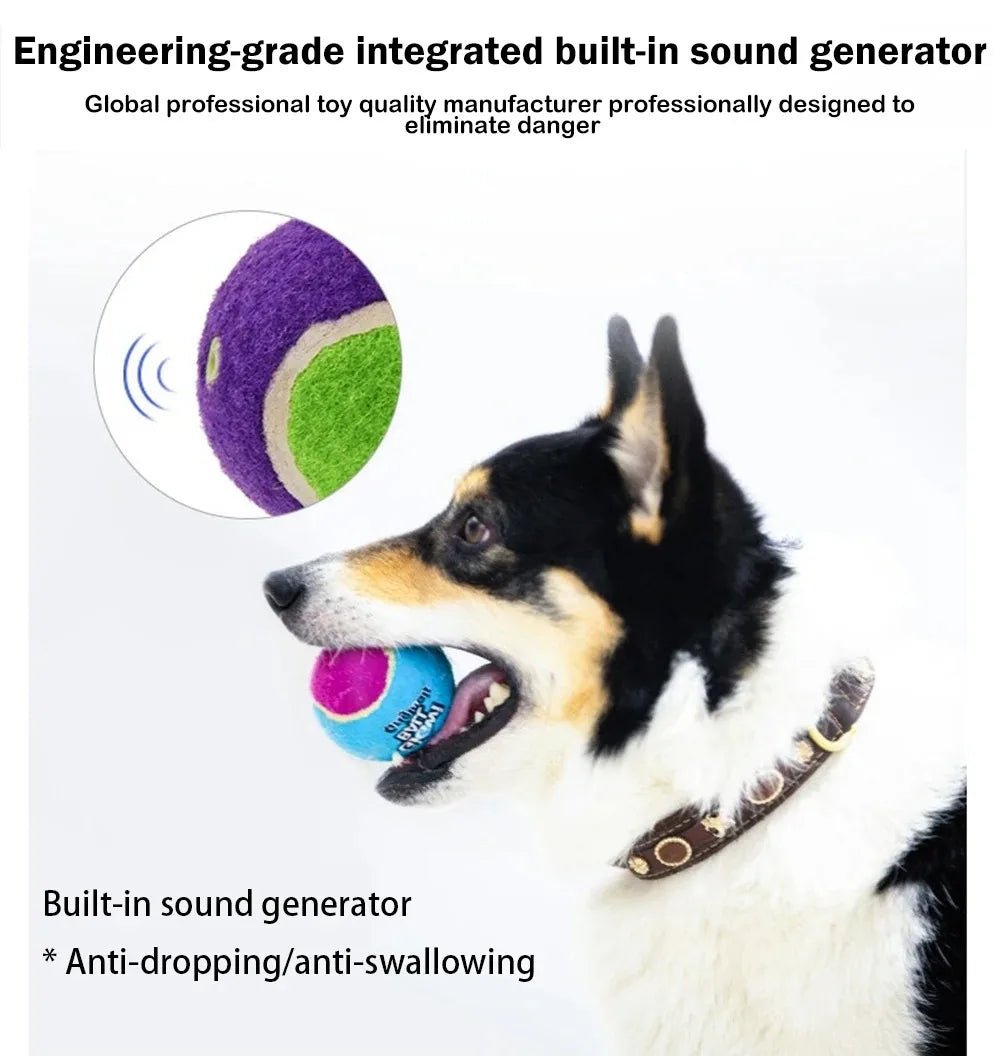 Squeaky Dog Tennis Balls Bite Resistant Set - Petnivo