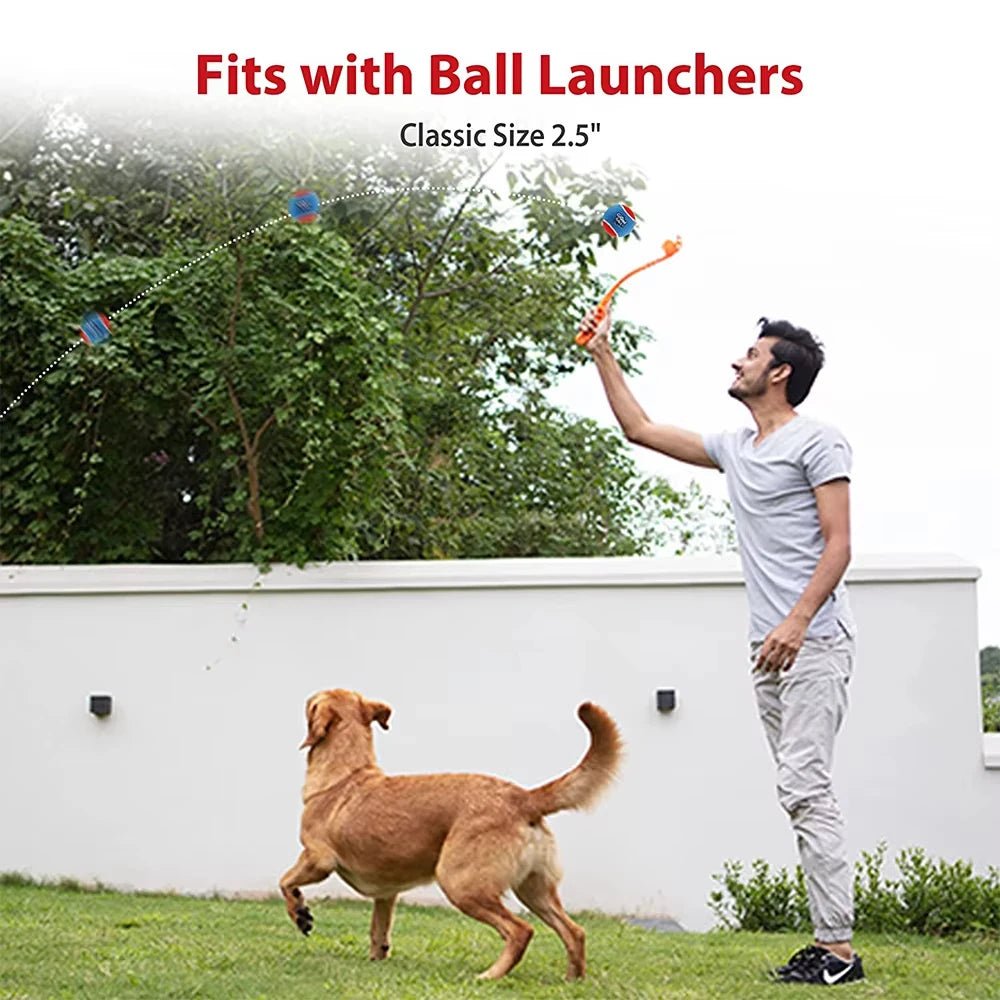 Squeaky Dog Tennis Balls Bite Resistant Set - Petnivo