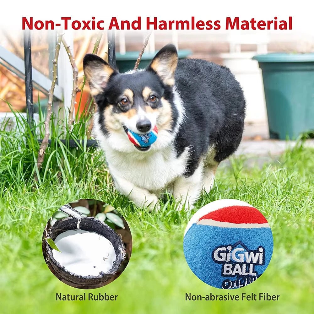 Squeaky Dog Tennis Balls Bite Resistant Set - Petnivo
