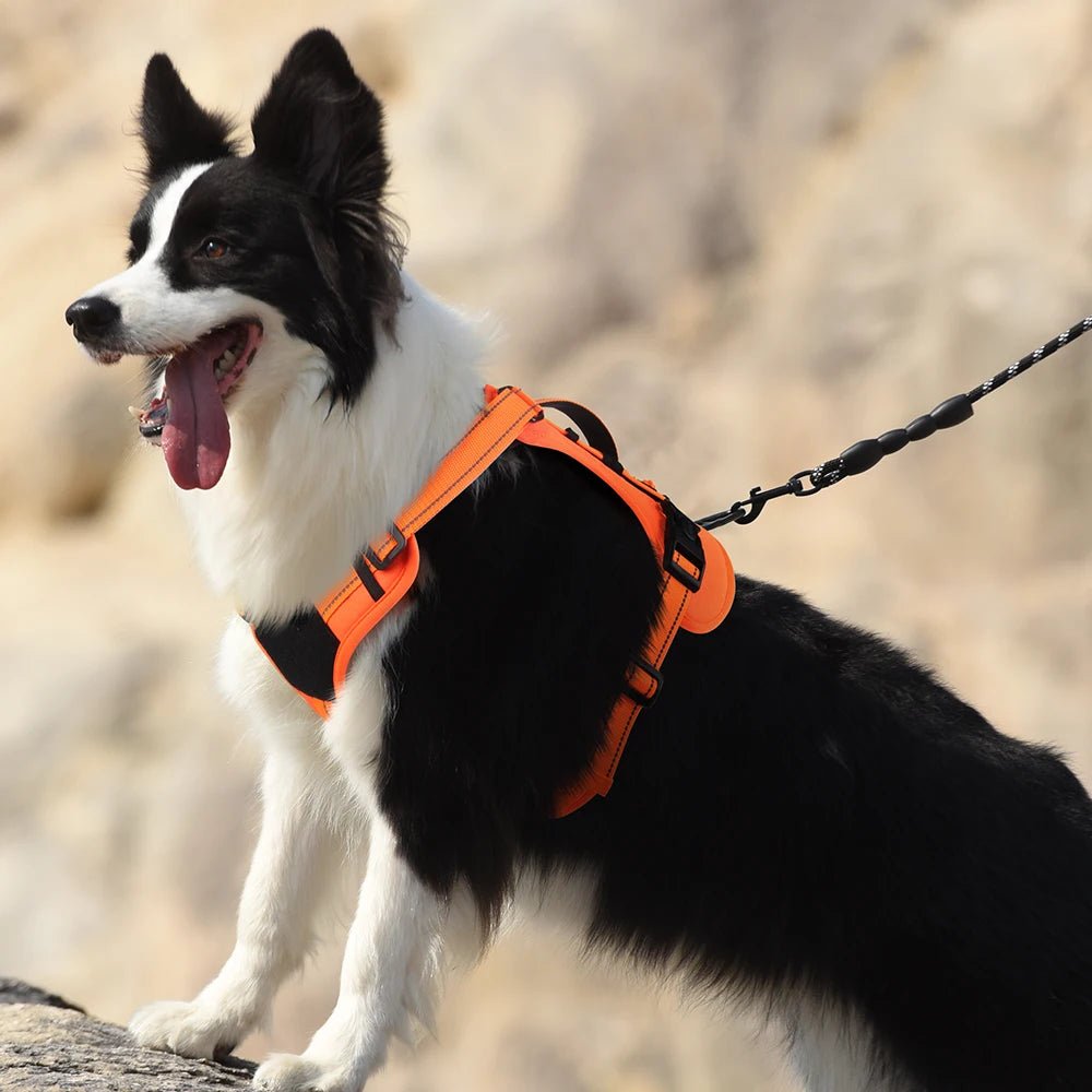 Tactical Dog Harness Reflective Vest Leash - Petnivo
